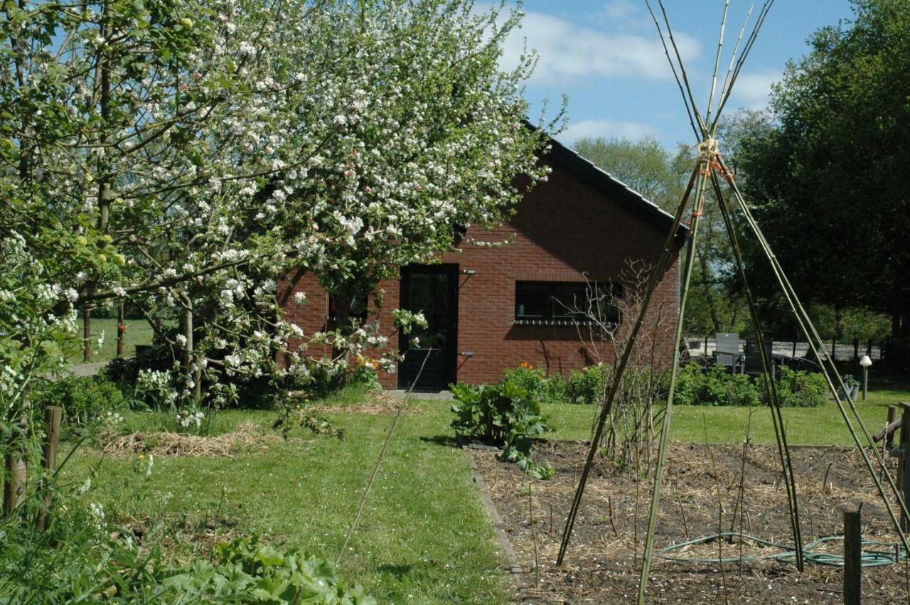 Gastenverblijf Op Het Graveland Zevenhuizen  ภายนอก รูปภาพ